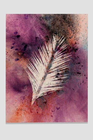 Sam Falls, Untitled (Venice, Palm 4), 2014, Dye on canvas, 100 x 76 inches