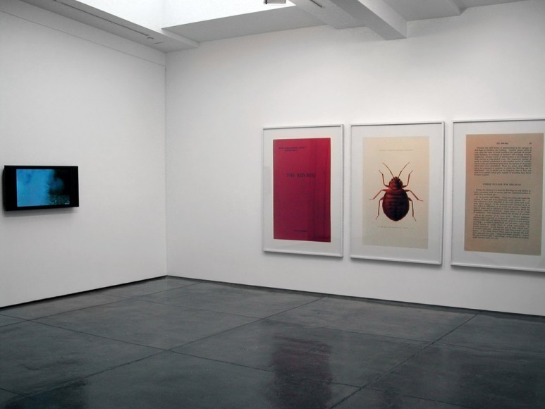 Installation view Brave New year