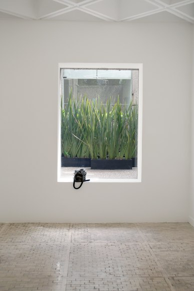 Nina Canell, Installation view: Ayrton, Museo Tamayo, Mexico City, 2017