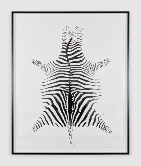Hans-Peter Feldmann, Zebra