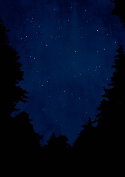 Florian Maier-Aichen, Untitled, 2011