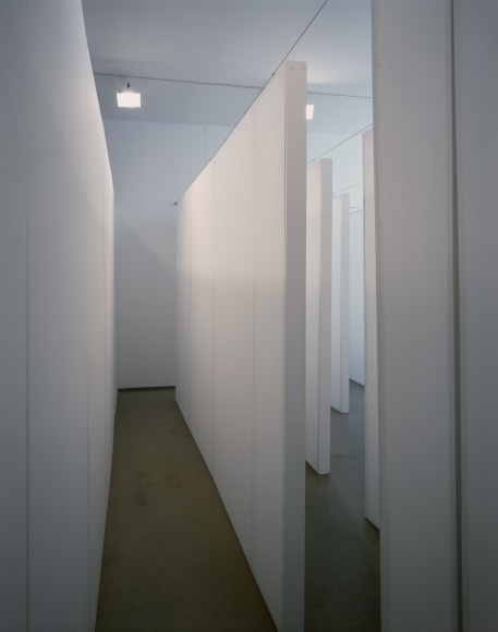 Kristin Oppenheim, The Eyes I Remember, 1999-2000
