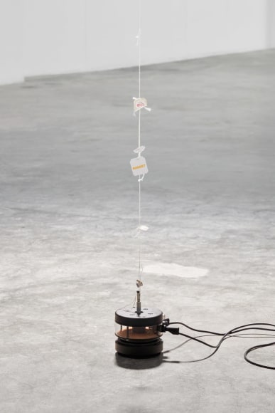 Installation view, Nina Canell, Future Mechanism Rag Plus Two Grams, Simian, Cophenhagen, 2024. Photo: GRAYSC / Simian