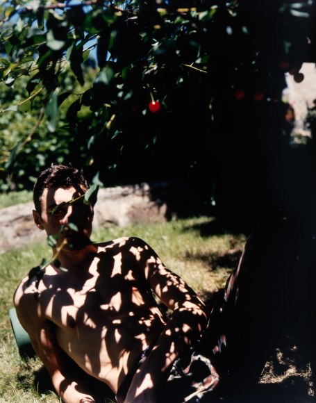 Collier Schorr, Herbert