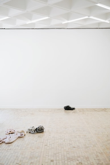 Nina Canell, Installation view: Ayrton, Museo Tamayo, Mexico City, 2017