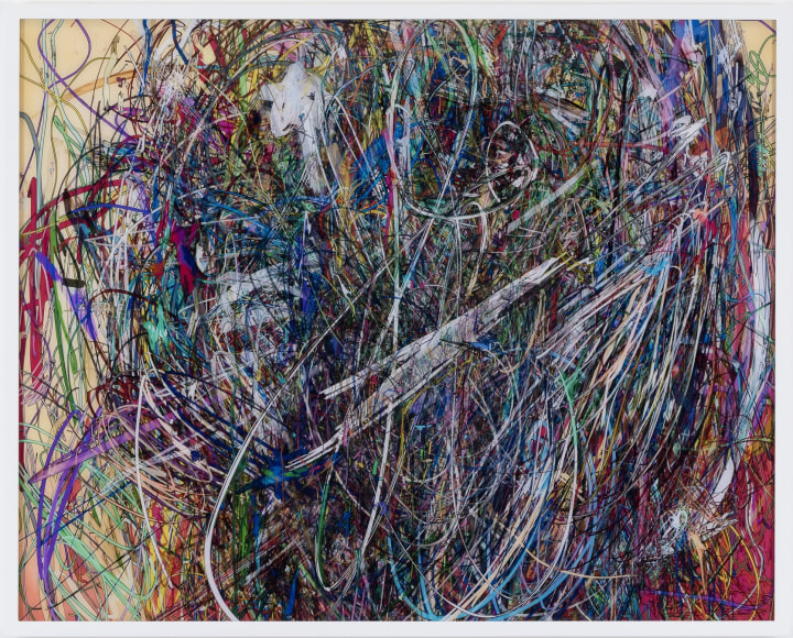 Florian Maier-Aichen, Untitled (Lasso Painting #5), 2017