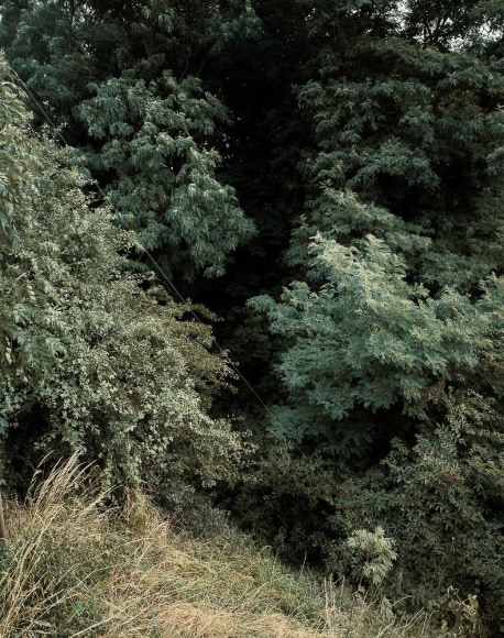Andreas Gursky, Krefeld, 1989
