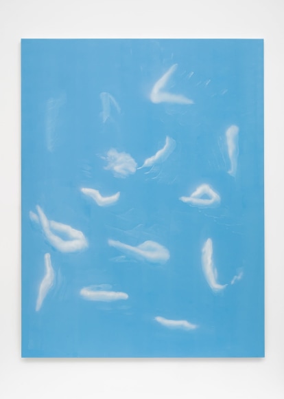 Tala Madani, Shit Glyphs