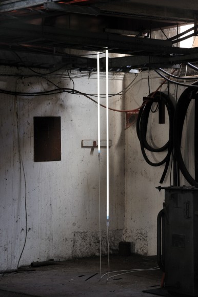 Nina Canell, And So Entangled