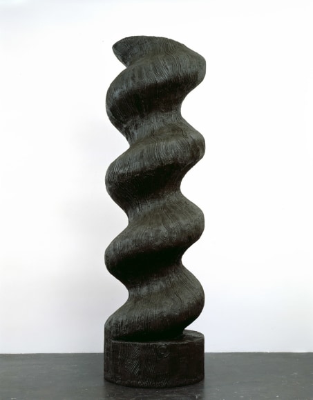 Valentin Carron, 6 jours pour convaincre, 2008
