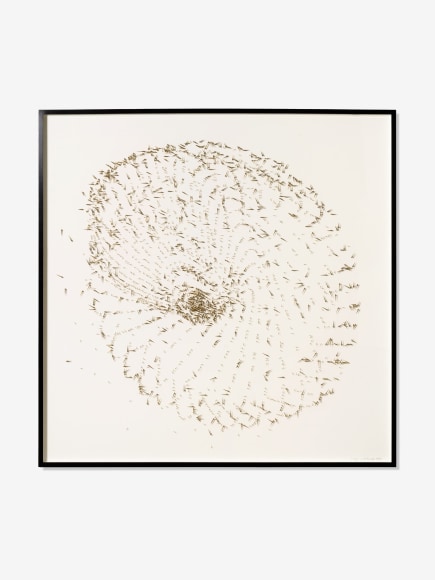 licja Kwade, 100 Days IX