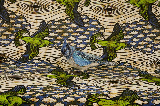 Anne Chu, Blue Jay (print), 2008