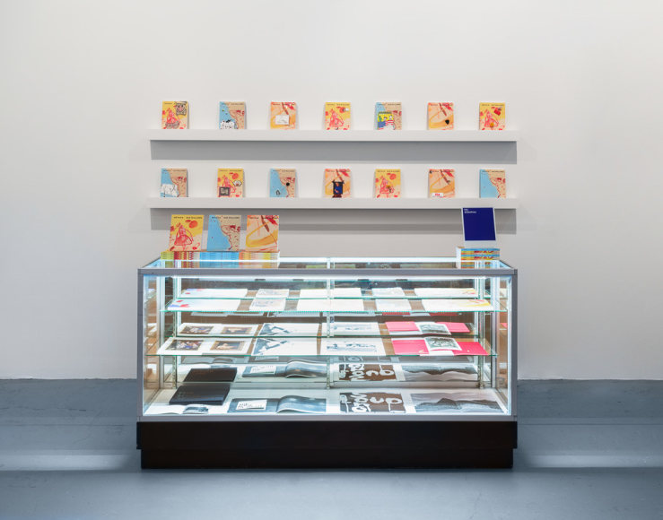 Sue Williams, Details, Printed Matter LA Art Book Fair, 303 inPrint