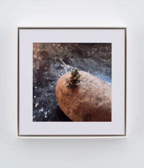 Stephen Shore, Tivoli, New York, February 5, 2018