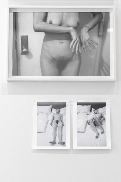 Collier Schorr, Installation view, Love Songs: Photography and Intimacy, 