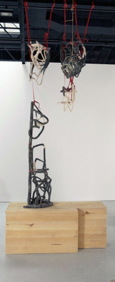 Anne Chu, From a Hanging Garden, 2007