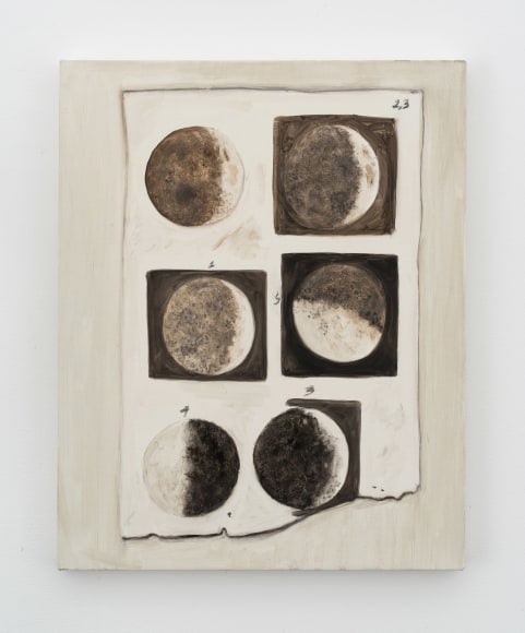 Tanya Merrill, The First Accurate Description of the Moon