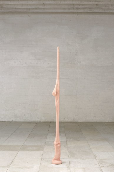 Nina Canell, Installation view: 57th Venice Biennale, 2017, Photo: Nick Ash