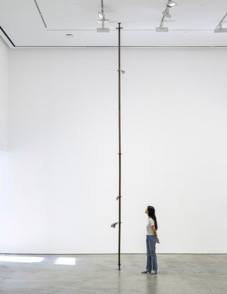 Nina Canell, Hold