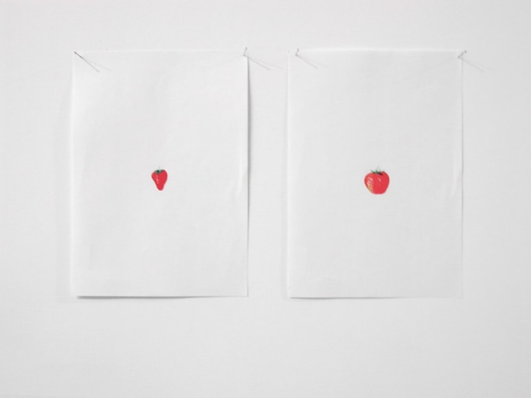 Hans-Peter Feldmann, Strawberries