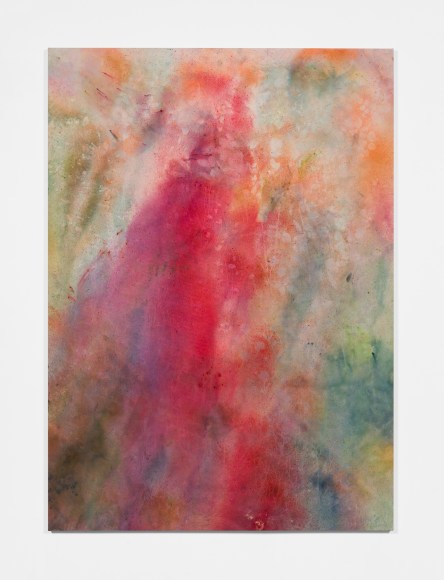 Sam Falls, Super Bloom