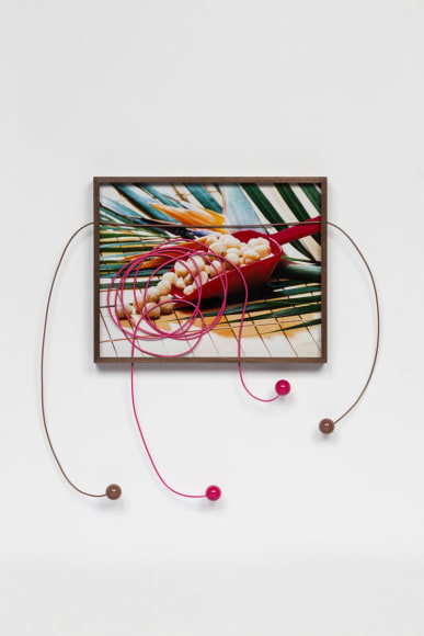 Elad Lassry, Landscape (Macadamia Nuts), 2014