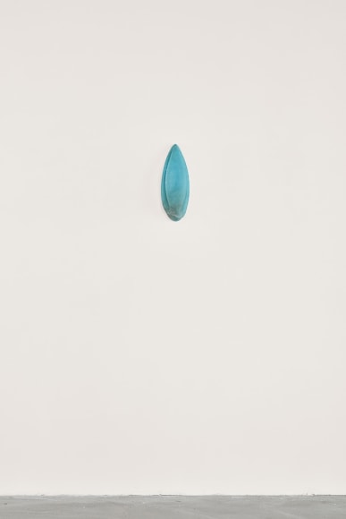 Nina Canell, Dolphin Dandelion