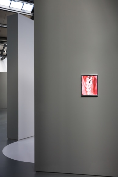 Elad Lassry: Untitled