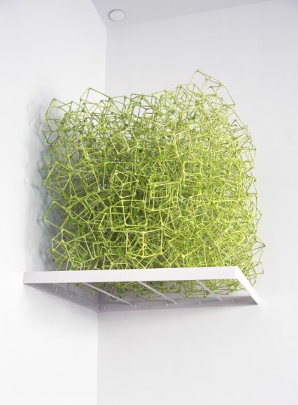 Liz Larner, Ignis (Fake), 1999