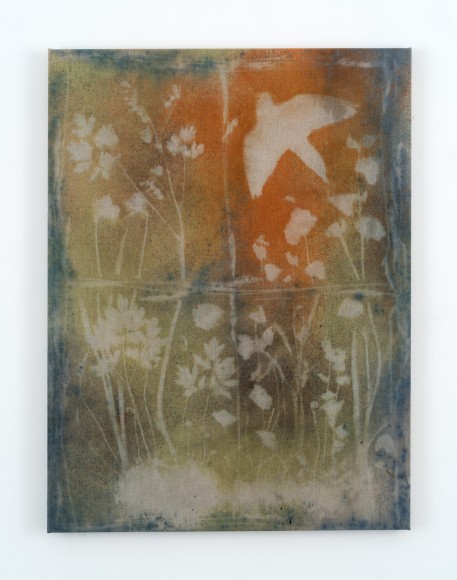 Sam Falls, Mourning Dove