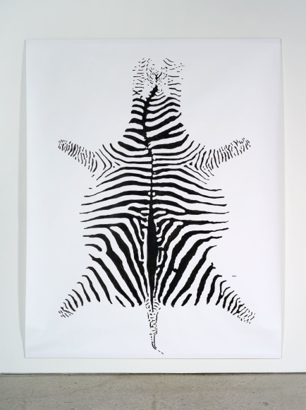 Hans-Peter Feldmann, Zebra
