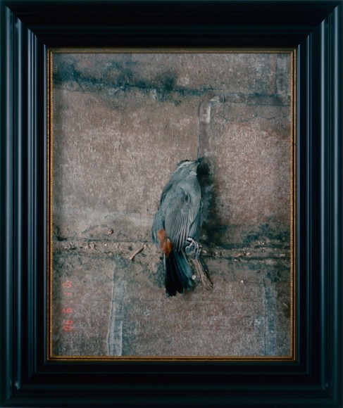 Karen Kilimnik, traitor, 2002