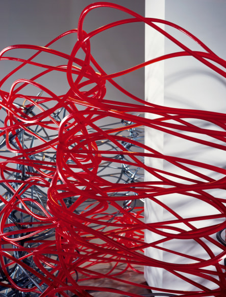 Liz Larner, Suffering Succotash (detail), 1999