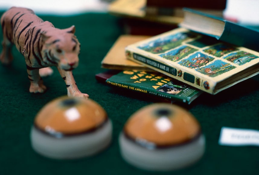 Bill Burns, Safety Gear for Small Animals,&nbsp;1994