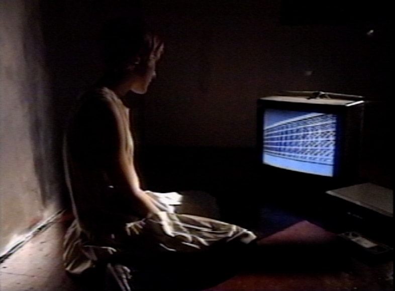 Doug Aitken, autumn, 1994