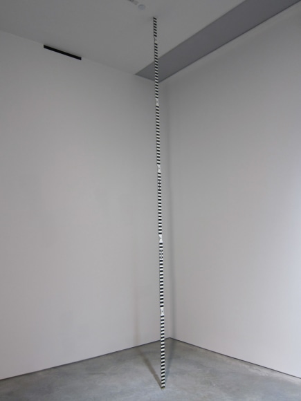 Jane and Louise Wilson, Blind Landing Lab (Lab 1), 2012