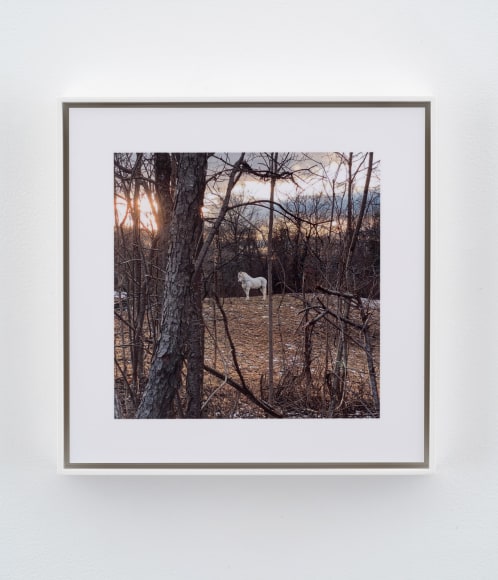 Stephen Shore, Red Hook, New York, February 10, 2020