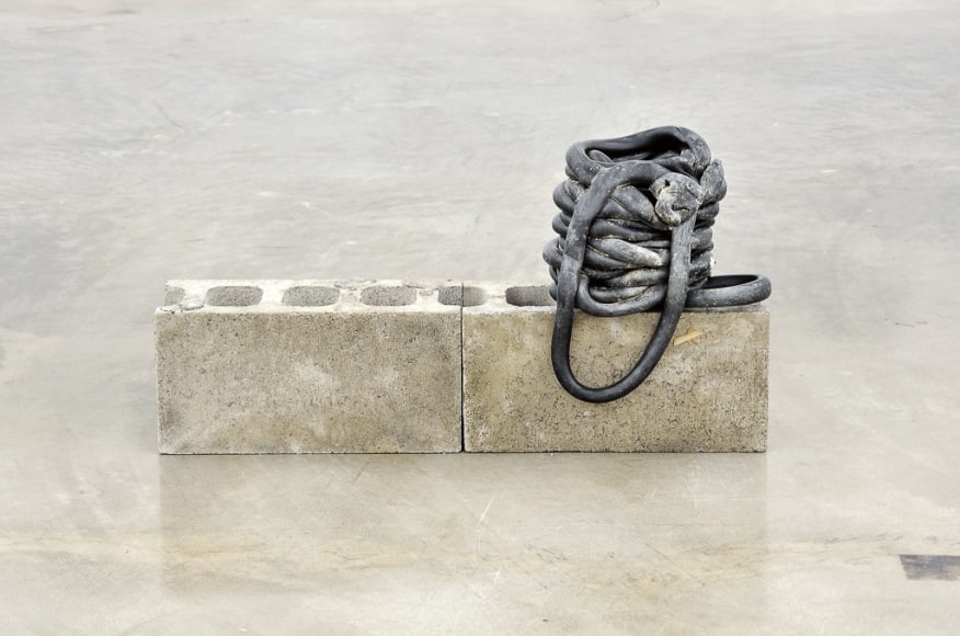 Nina Canell, Shedding Sheaths (H)