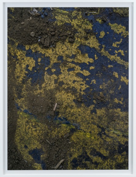 Stephen Shore, New York, New York, May 19, 2017