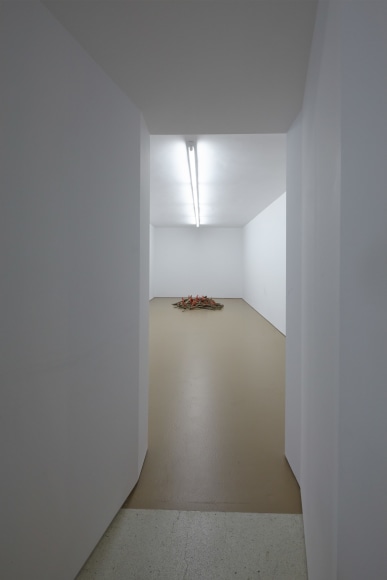 Installation view: Sensory Spaces 8 - Mike Nelson