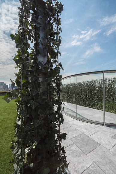 Dan Graham with Günther Vogt, Hedge Two-Way Mirror Walkabout, 2014
