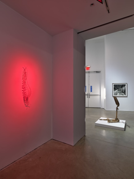Installation view: 303 Gallery: 40 Years, 303 Gallery, New York, 2024. Photo: Justin Craun