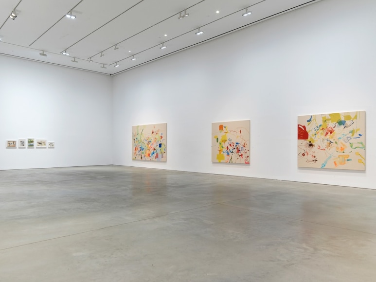 Sue Williams, Installation view: 303 Gallery, 2017