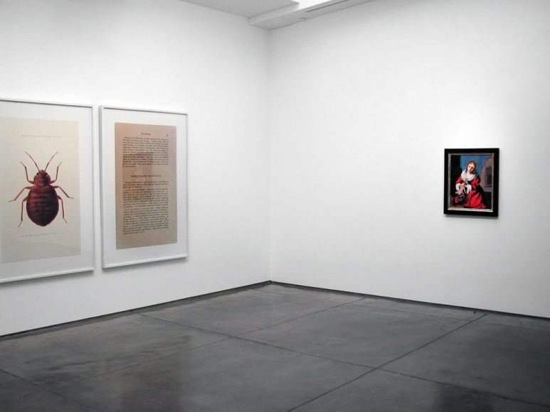 Installation view Brave New year