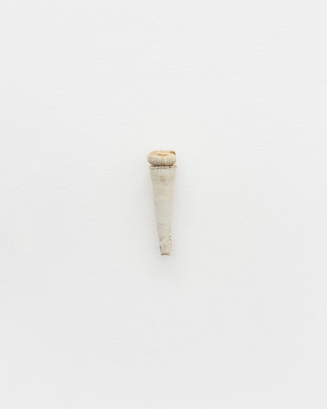 Nina Canell, Tailings