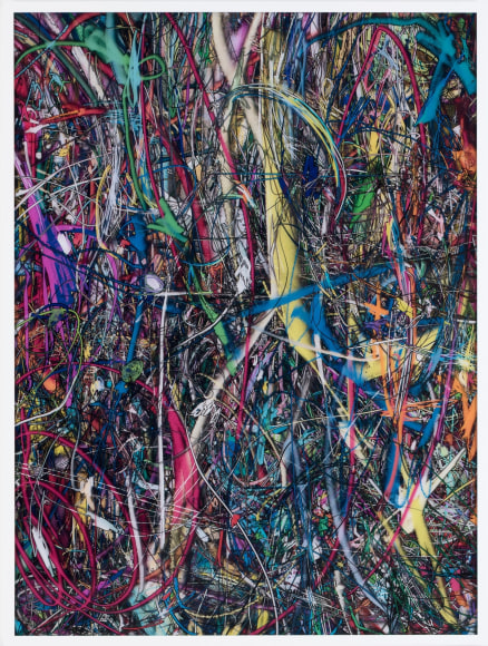 Florian Maier-Aichen, Untitled (Lasso Painting #3), 2016