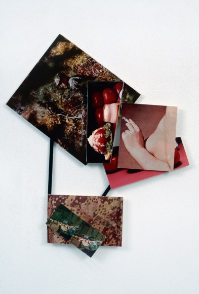 Anne Doran, Tomato Surprise, 1988