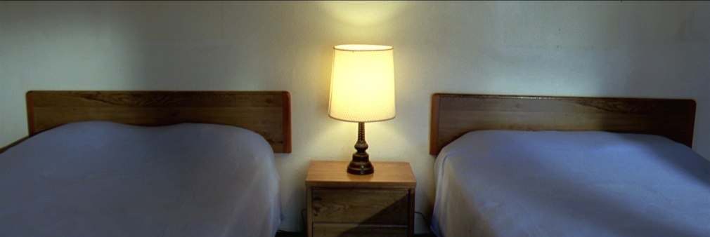 Doug Aitken, migration (empire), 2008