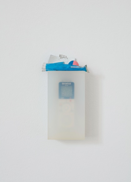 Nina Canell, Installation view: Dolphin Dandelion, Le Crédac, Paris Ivry-sur-Seine, 2017