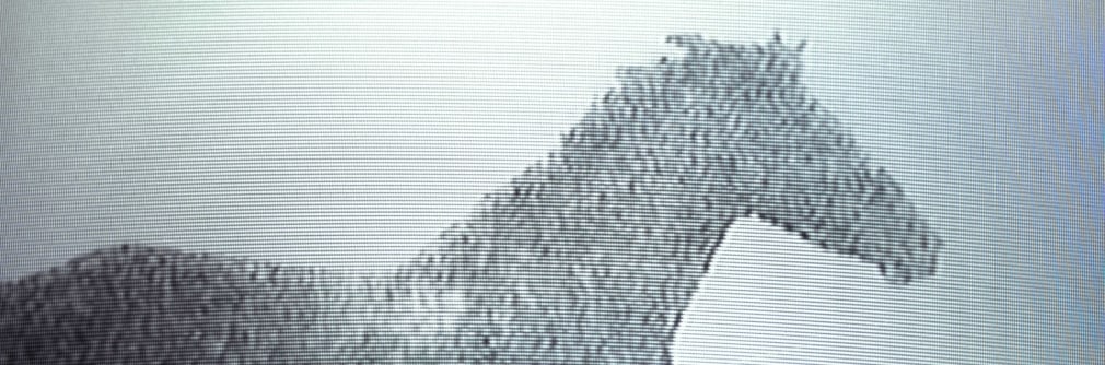 Doug Aitken, migration (empire), 2008